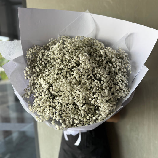 A large Baby's Breath Bundle from Flowers on Norton St, elegantly wrapped in white paper, is held against a neutral-colored wall, partially obscuring the person holding it.