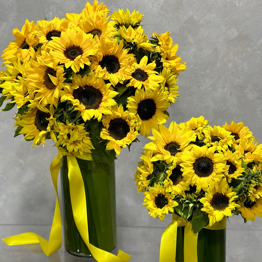 Two stunning Spectacular Sunnies Vases by Flowers on Norton St feature vibrant yellow sunflowers in tall, cylindrical glass vases accented with yellow ribbons. The simple gray background highlights the bright colors, celebrating the beauty of nature.