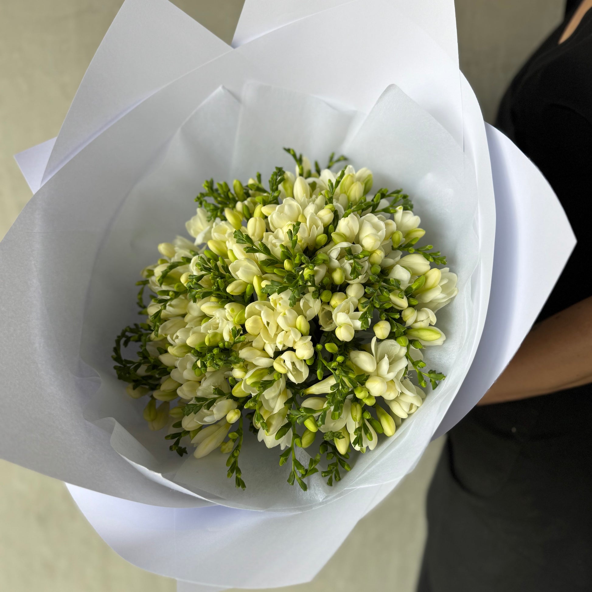 A Fantasy of Freesias Bouquet by Flowers on Norton St features fragrant white and light green blooms in crisp white wrapping, held against a dark outfit. Densely arranged, they display delicate petals and buds against a neutral backdrop for a subtle burst of color.