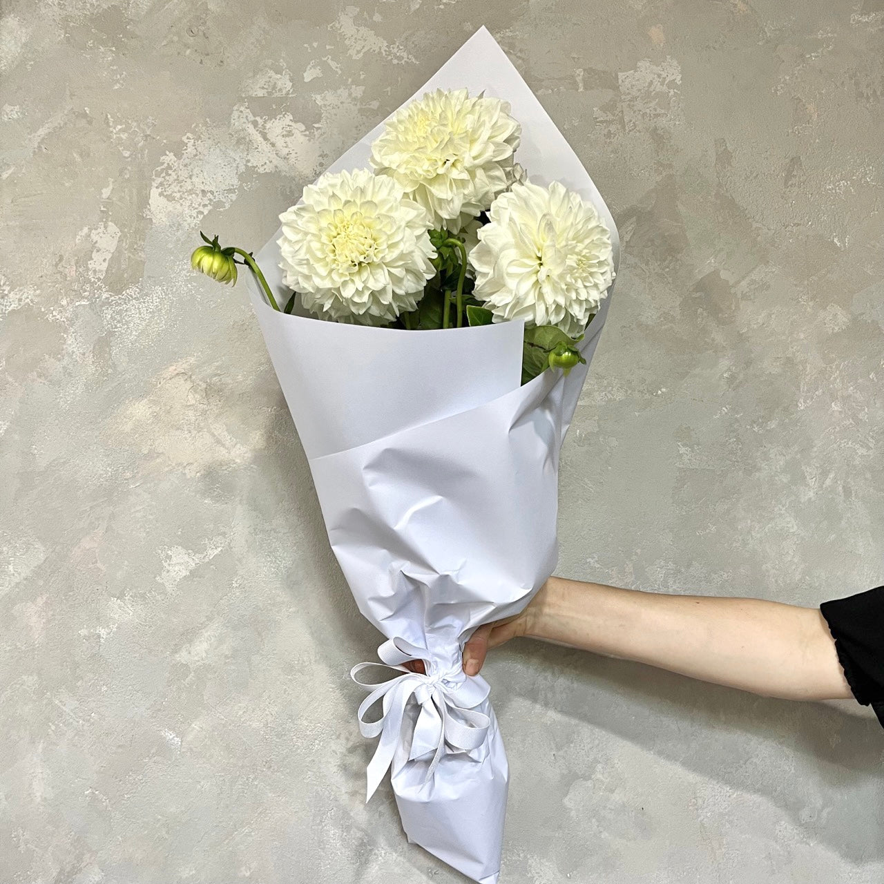 A bouquet featuring the DAHLIA SPECIAL by Flowers on Norton St, comprised of three large white Dahlias ideal for a summer wedding, is elegantly wrapped in white paper and held by a person against a textured gray wall.