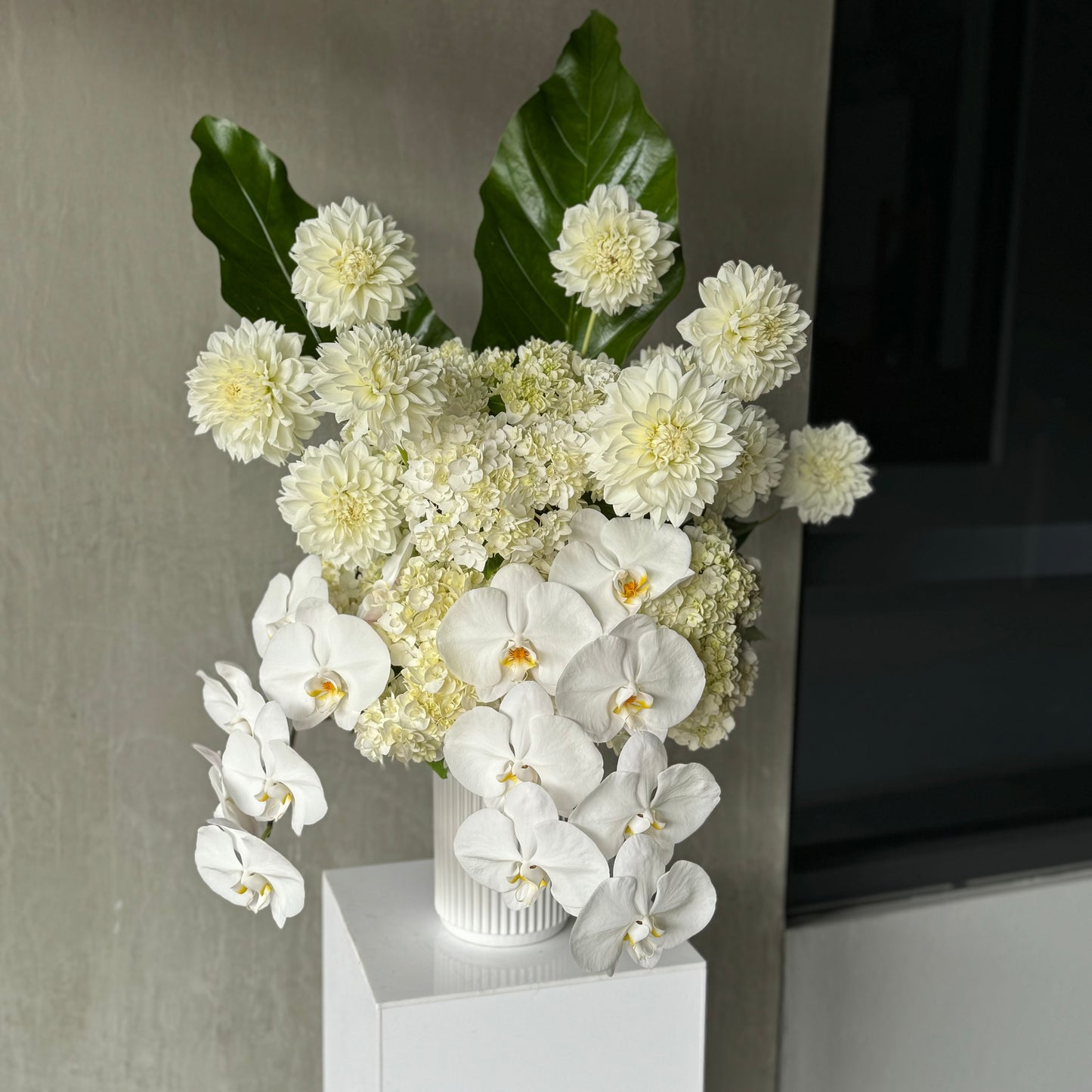 The Wintery Whites Arrangement by Flowers on Norton St features a beautiful combination of white flowers like Phalaenopsis orchids and Colombian roses, arranged in a white vase. Two large green leaves add to the elegance of the bouquet, which is gracefully showcased on a white pedestal against a neutral background.