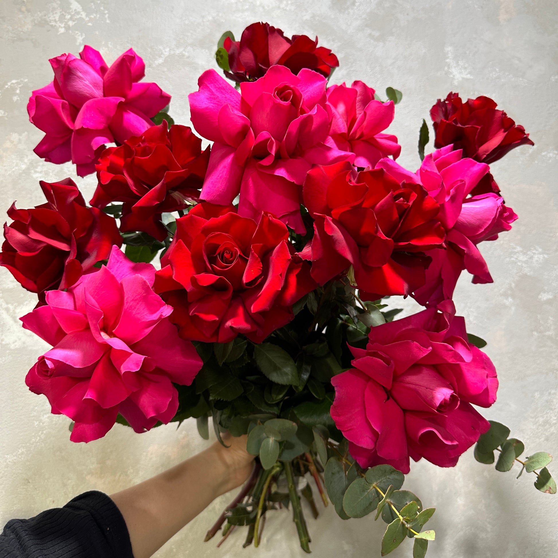 The Freedom + Pink Floyd Blooming Rose Bouquet by Flowers on Norton St showcases a playful mix of vibrant red and hot pink roses against a textured, light background, with fully bloomed flowers and rich green leaves visible beneath the blossoms.