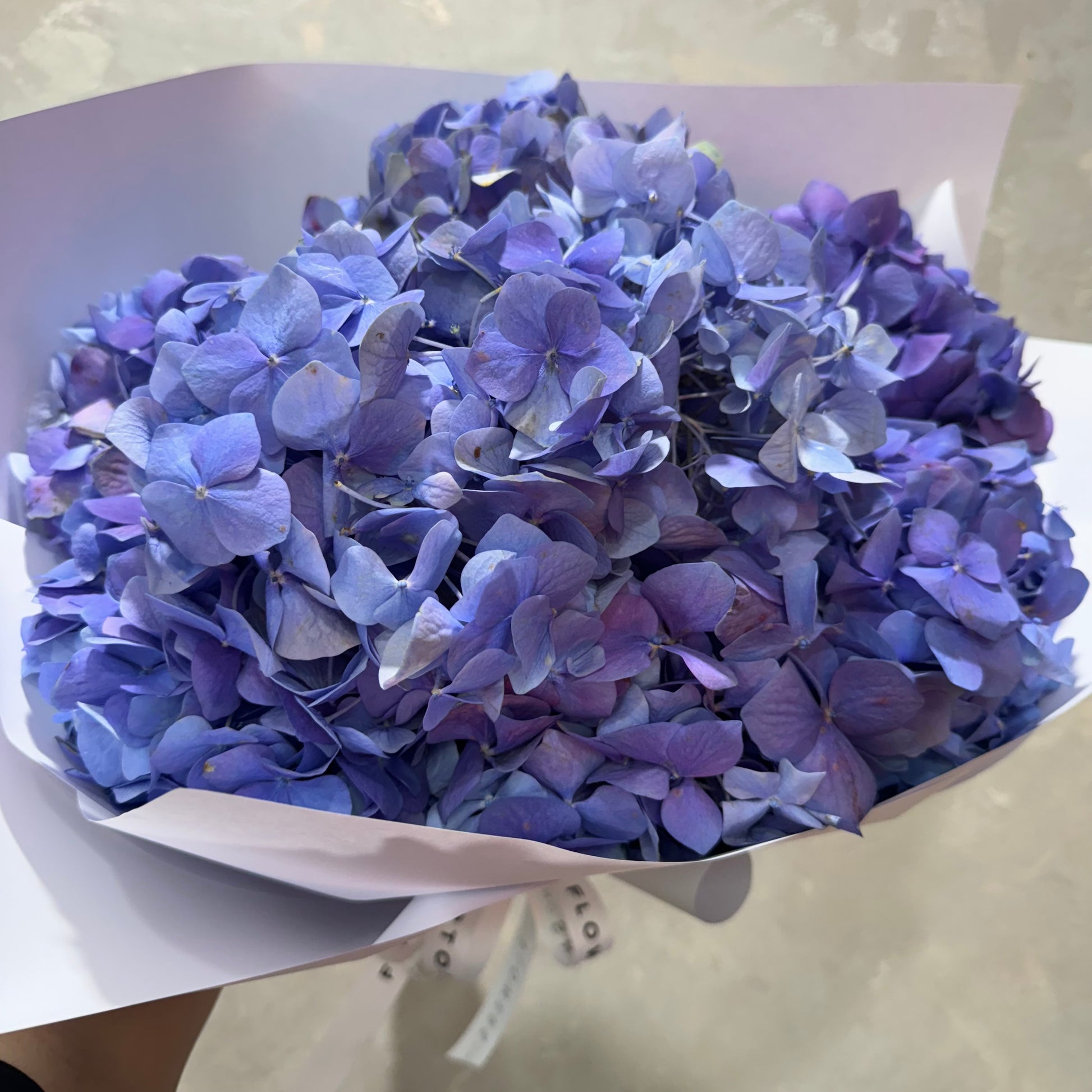 Introducing "Hydrangea Love" by FlowersonNortonSt: This stunning bouquet of vibrant purple and blue hydrangeas is artfully arranged in elegant white wrapping paper, perfect for delivery in Sydney, presented against a neutral backdrop.