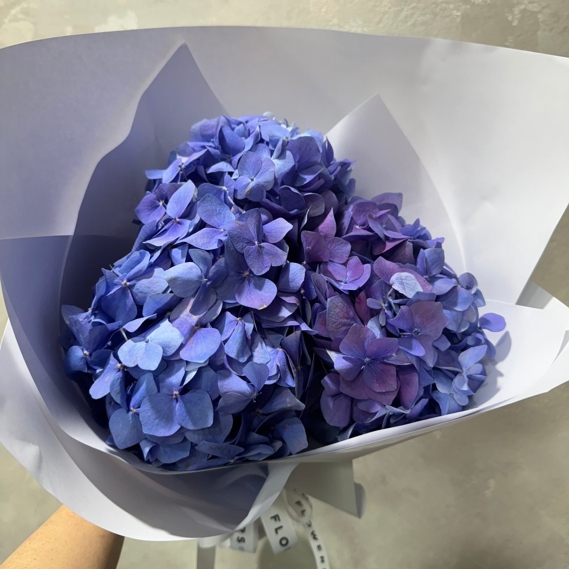 The "Hydrangea Love" bouquet from FlowersonNortonSt, featuring vibrant blue and purple hydrangeas elegantly wrapped in white paper, is beautifully set against a light gray background—ideal for flower delivery in Sydney.