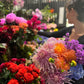 In a vibrant flower shop, an individual chooses pink blooms from the Florist Choice - Bright bouquet by Flowers on Norton St. They clutch a vibrant arrangement featuring purple, orange, and pink flowers while nearby, red roses are artistically displayed. The lively atmosphere of the store harmonizes with its budget-friendly flower delivery service in Sydney.