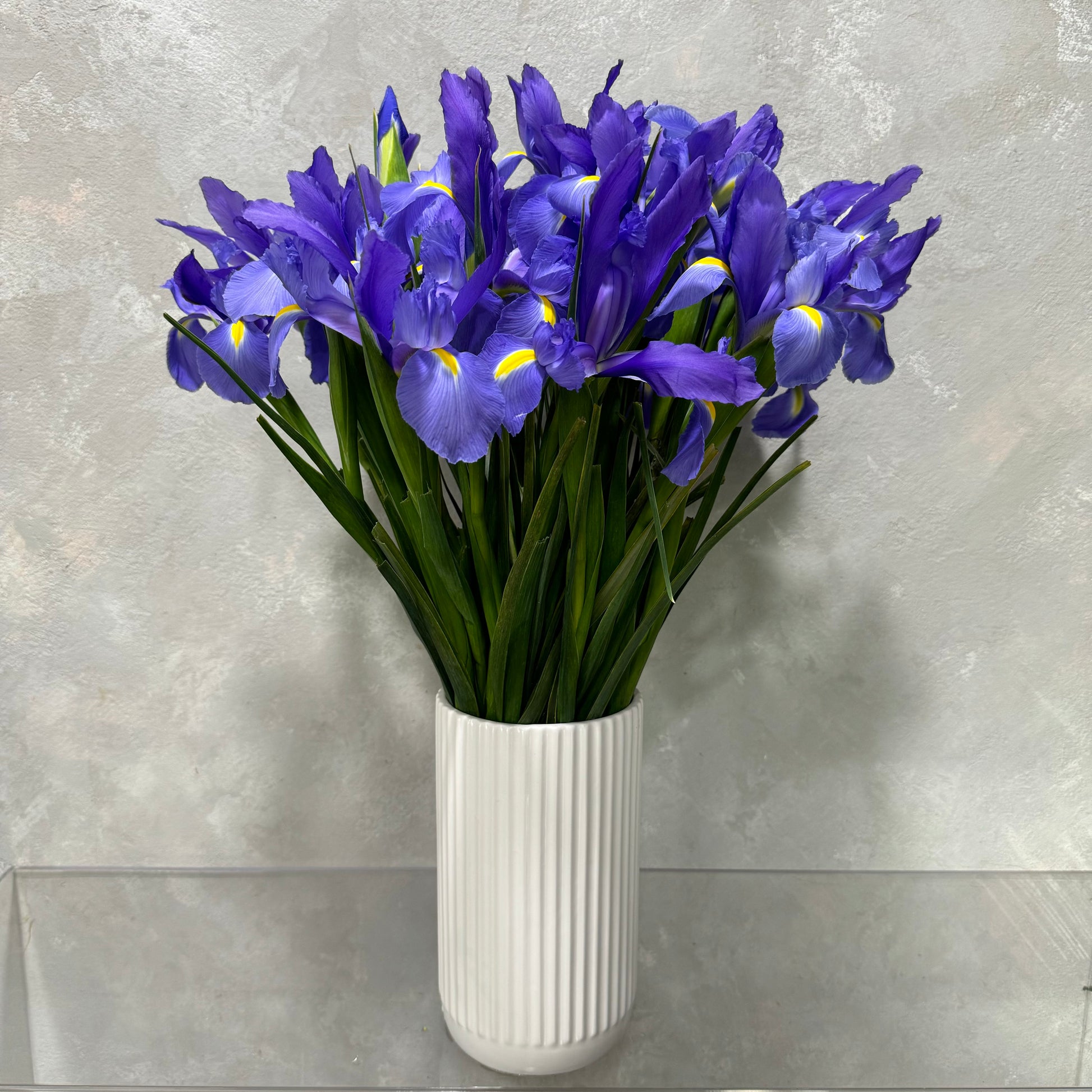 The Lovely Iris Vase by Flowers on Norton St showcases vibrant purple irises with yellow accents in a tall, ribbed white ceramic vase against a textured gray backdrop.