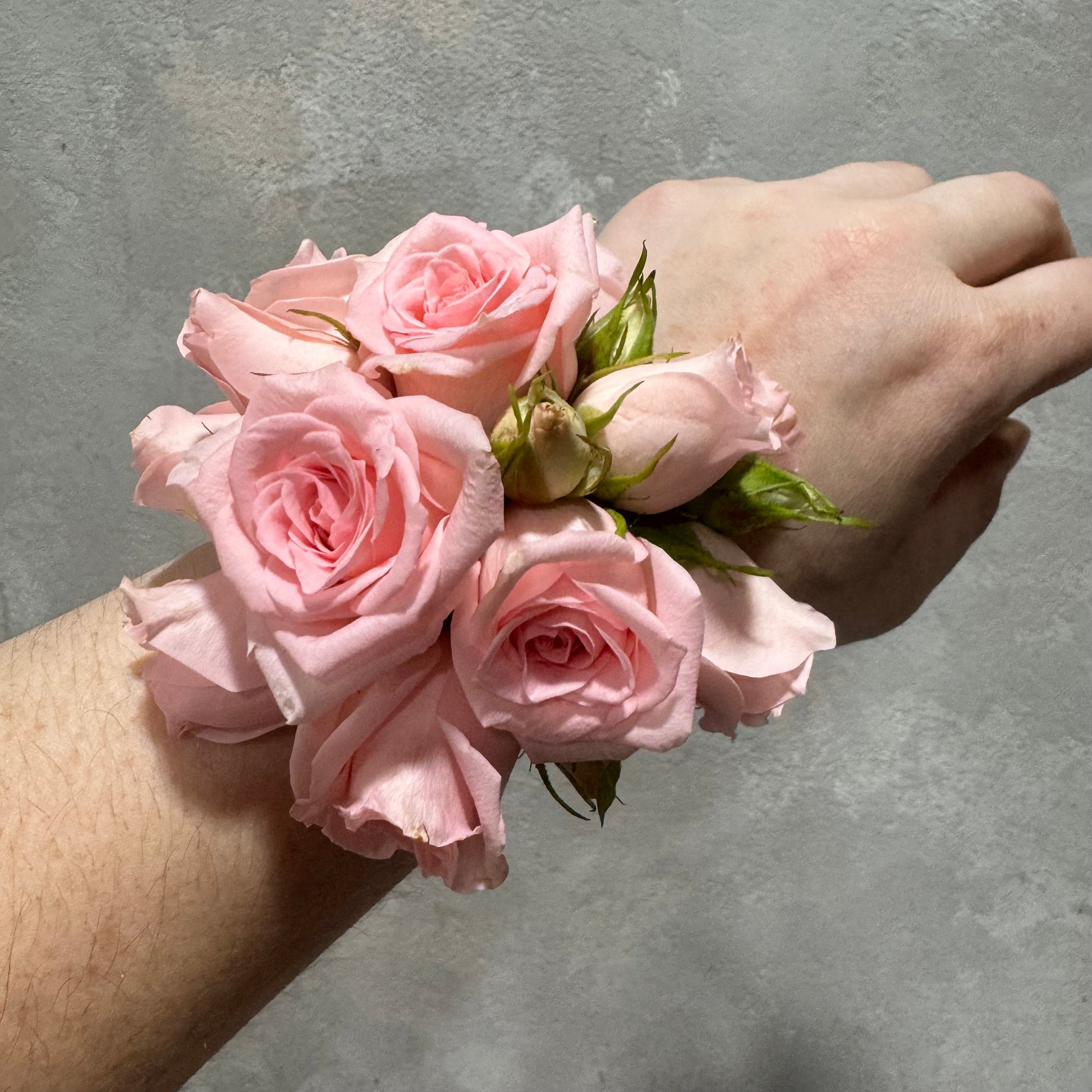 The Classic Wrist Corsage by Flowers on Norton St, featuring pink roses and delicate buds, is perfect for school formals and elegantly adorns your wrist against a sleek gray background.