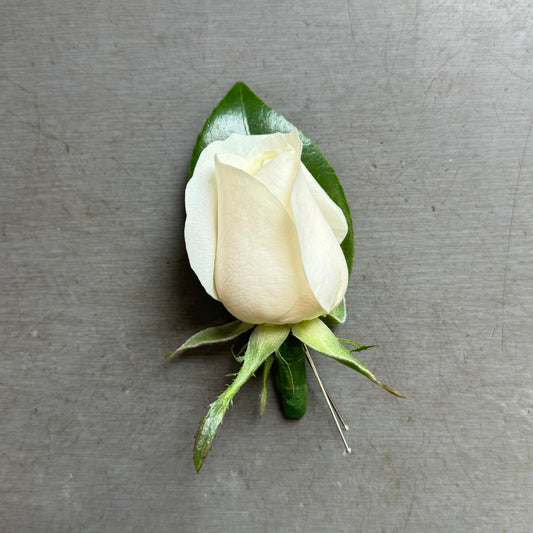 The Flowers on Norton St Classic Buttonhole Flower features a white rosebud with green leaves, secured with a metal fastener against a gray background. Perfect for school formals or formal attire, it elegantly enhances any occasion.