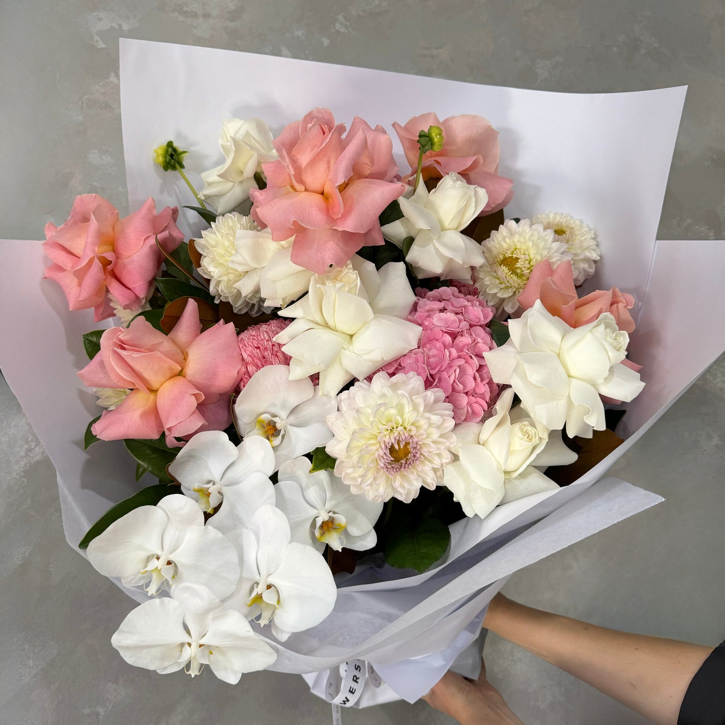 The Sitting Pretty Bouquet from Flowers on Norton St showcases a breathtaking combination of pink roses, white gardenias, graceful white orchids, and lively pink and white chrysanthemums, beautifully encased in crisp white paper. It's an ideal choice for a Mother's Day bouquet or any event celebrating the charm of pink flowers.