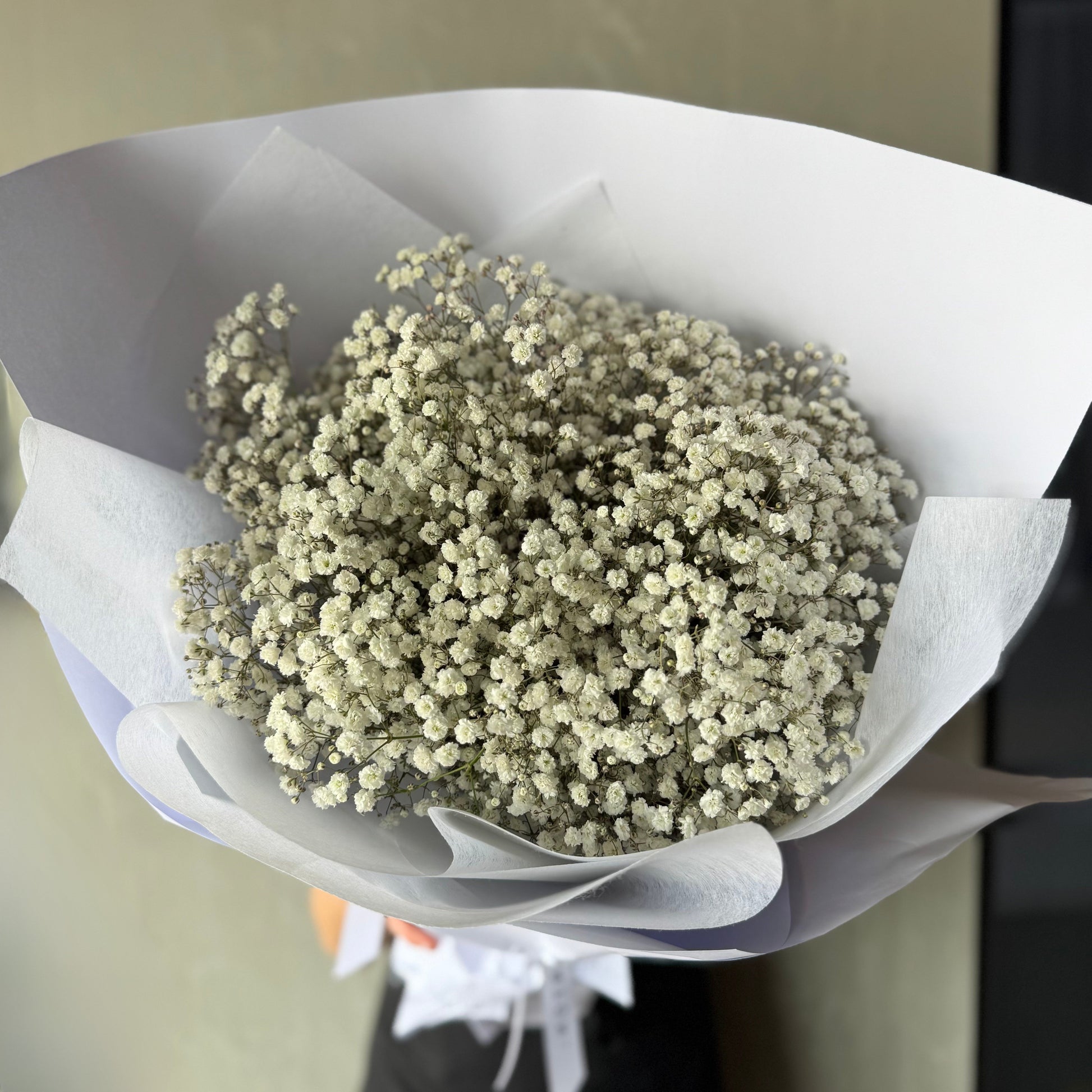 A Flowers on Norton St Baby's Breath Bundle, wrapped in white paper against a neutral backdrop, highlights its delicate blooms. The bouquet offers a soft, cloud-like effect with tiny, ethereal flowers.