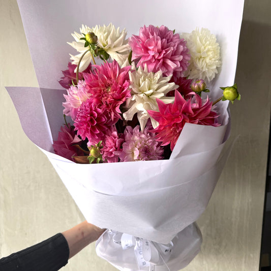 The "Dahlia Delight - Pretty in Pink Bouquet" by Flowers on Norton St features pink seasonal Dahlias and white dahlia flowers, wrapped in white paper and held against a neutral background by a black-sleeved arm.