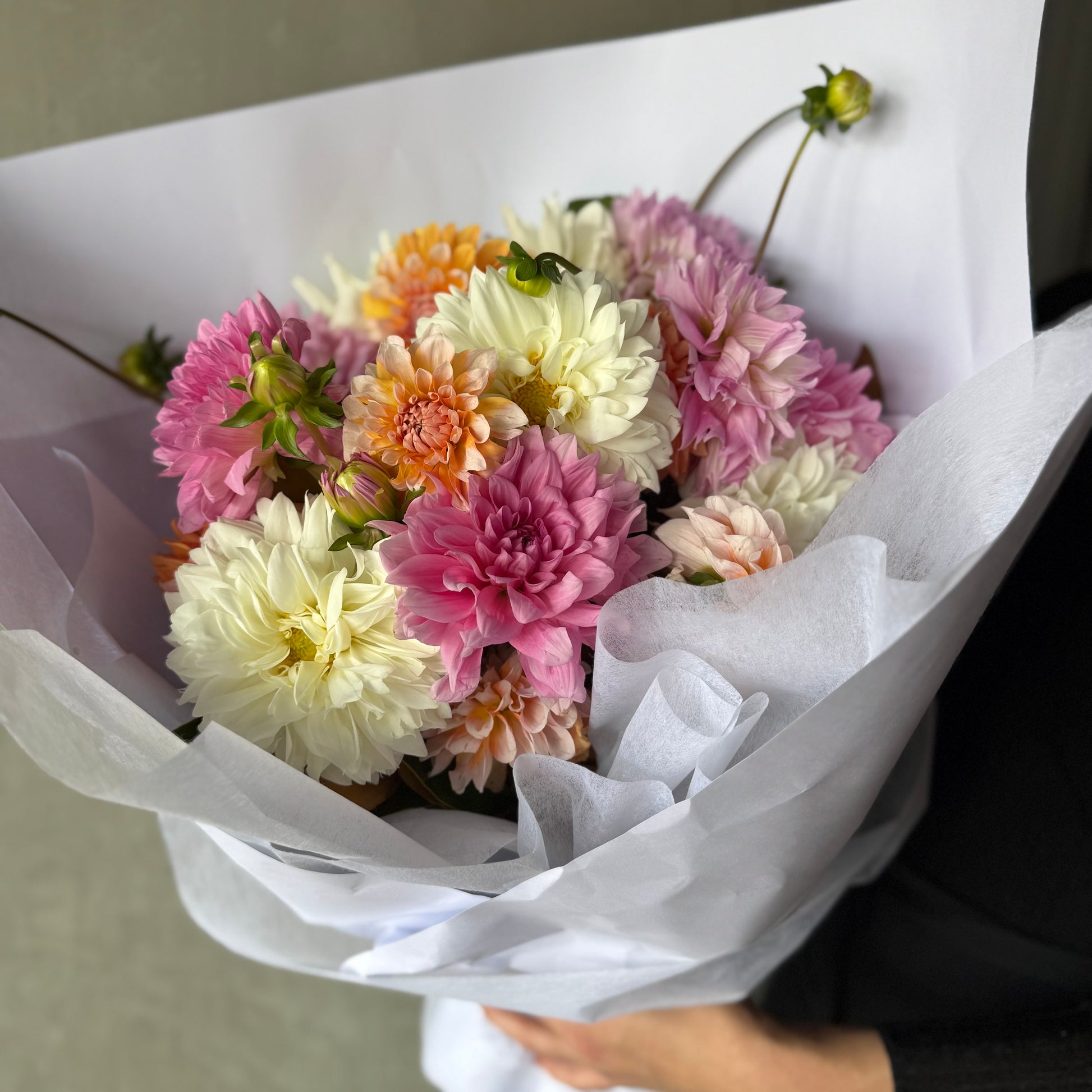 A person holds the Dahlia Delight - Summer Pastels Bouquet from Flowers on Norton St, featuring a vibrant mix of seasonal dahlias in shades of pink, peach, and white wrapped in white paper.