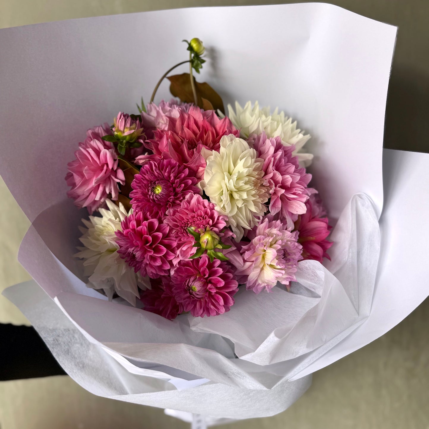 The "Dahlia Delight - Pretty in Pink Bouquet" by Flowers on Norton St features pink seasonal dahlias with dense petals, accompanied by white and light purple flowers wrapped in elegant white paper. Green buds peek through, making it an exquisite choice for wedding flowers.