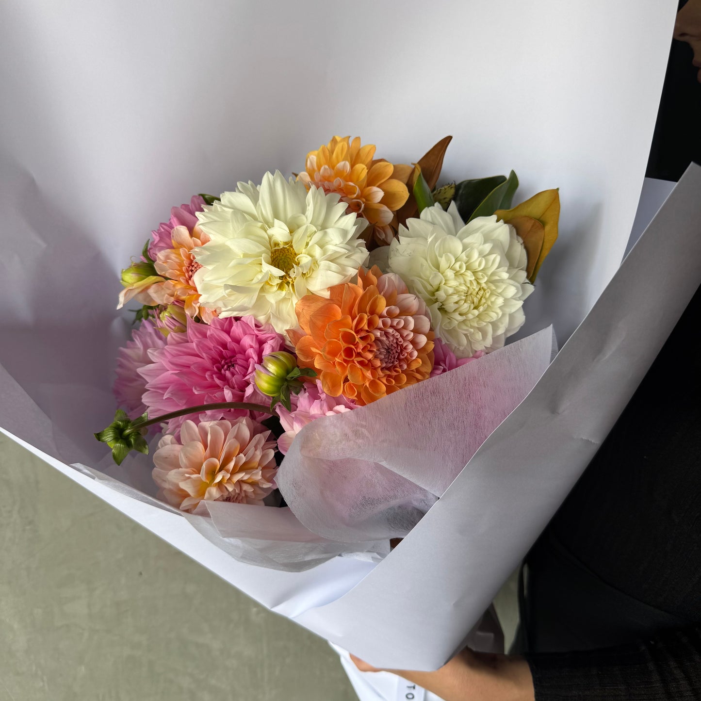 A vibrant bouquet from Flowers on Norton St, Dahlia Delight - Summer Pastels features seasonal white, orange, and pink blooms in a white wrap, charmingly held by someone in dark attire.