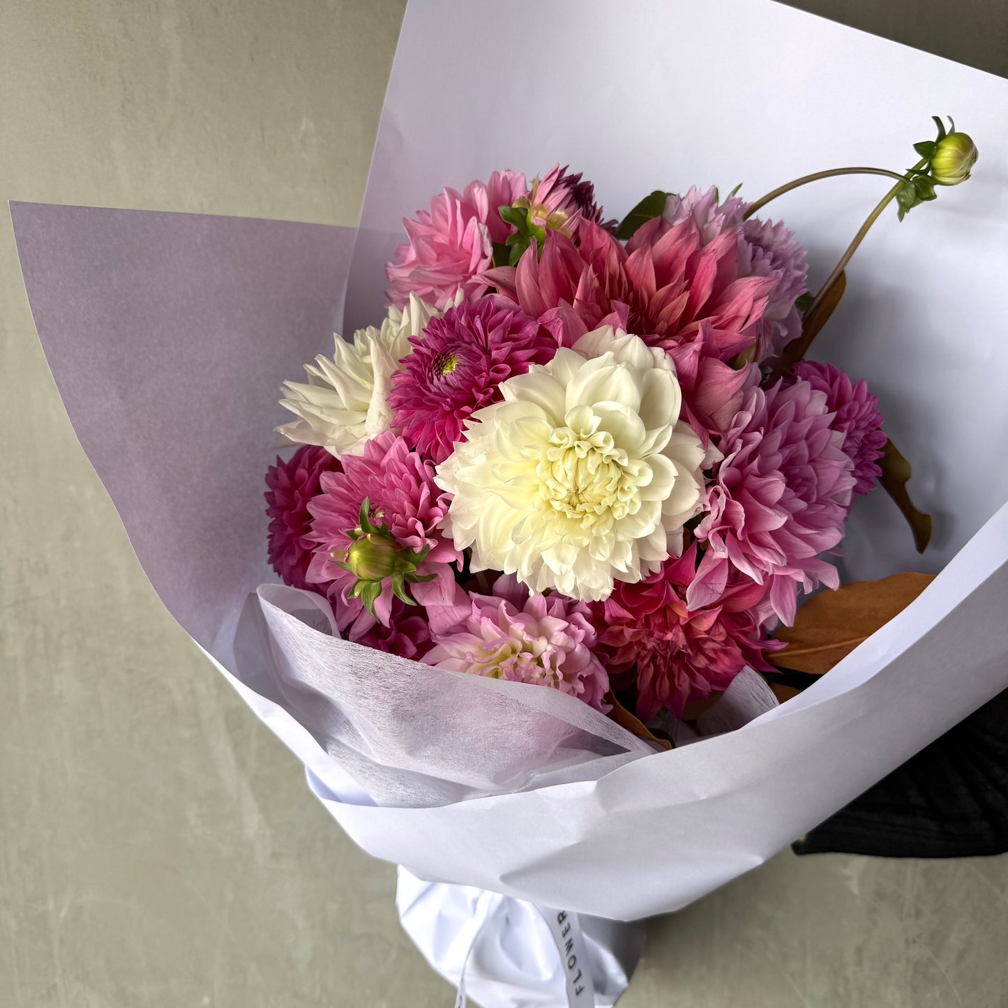 The Dahlia Delight - Pretty in Pink Bouquet by Flowers on Norton St features seasonal Dahlias with delicate pink petals and a striking white bloom, elegantly wrapped in white and lavender paper against a gray background.