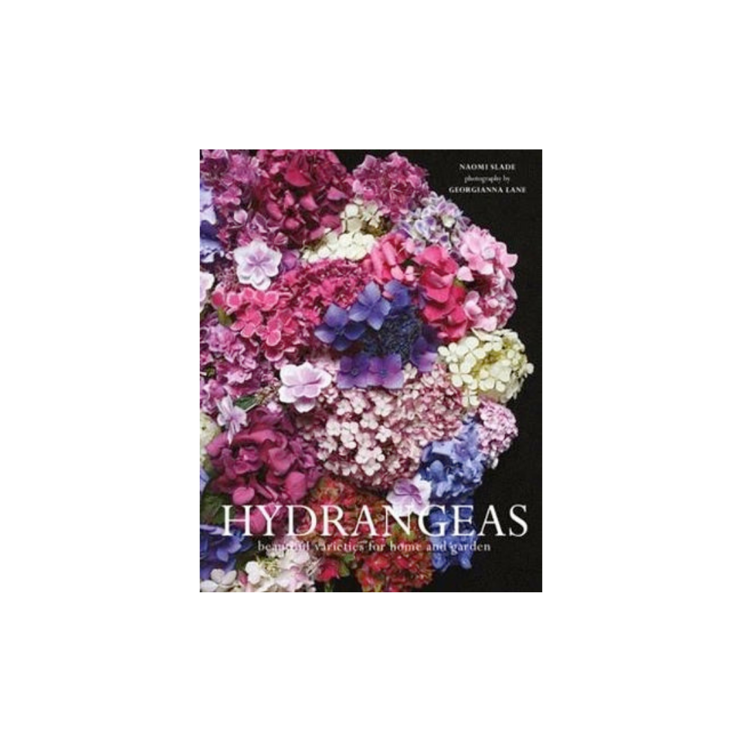 The book cover of "Hydrangeas" by Flowers on Norton St highlights a dazzling collection of hydrangea blooms, brought to life with breathtaking photography. It is an ideal choice for home and garden enthusiasts looking for inspiration from these vibrant flowers.