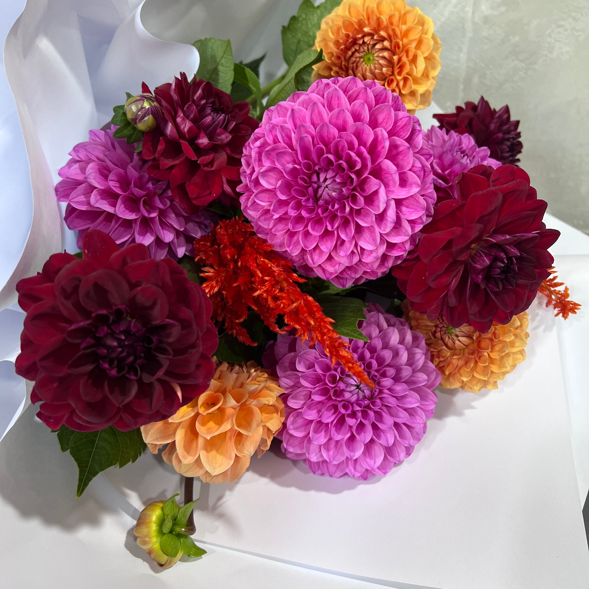 The "Dahlia Delight" bouquet by Flowers on Norton St features a vibrant array of pink, red, and orange dahlias complemented by assorted greenery, elegantly arranged on a white surface.