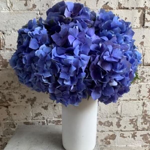 A vase featuring the stunning "Hydrangea Love" bouquet by FlowersonNortonSt.