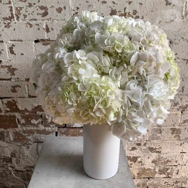 The "Hydrangea Love" arrangement by FlowersonNortonSt features a lush mix of white and pale green hydrangeas elegantly displayed in a simple white vase, set against a rustic brick wall backdrop. Ideal for any occasion, this sophisticated bouquet is perfect for flower delivery in Sydney.