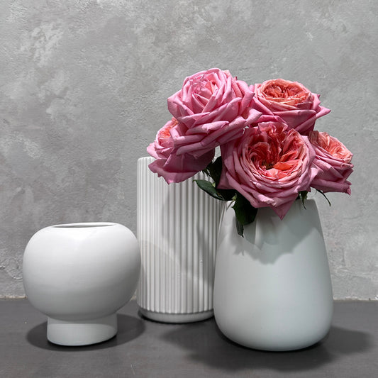 Three exquisite pieces of White Ceramic Vaseware from Flowers on Norton St are elegantly displayed against a textured gray wall. The vase on the right is filled with a bouquet of pink roses, while the other two vases, showcasing their smooth and ribbed surfaces, remain empty, highlighting the elegant artistry of fine vaseware.