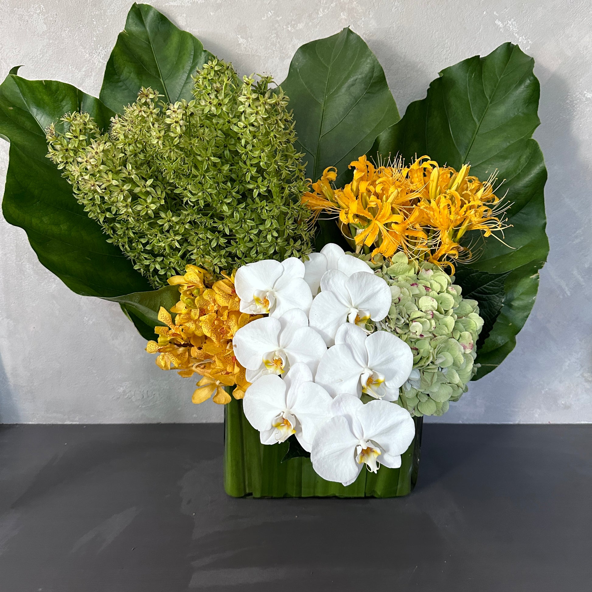 The Honey Delight by Flowers on Norton St is a floral vase arrangement showcasing large green leaves, clusters of yellow and green blooms, with a central display of phalaenopsis orchids in a square container. It is set against a neutral, textured background that enhances its elegant atmosphere.