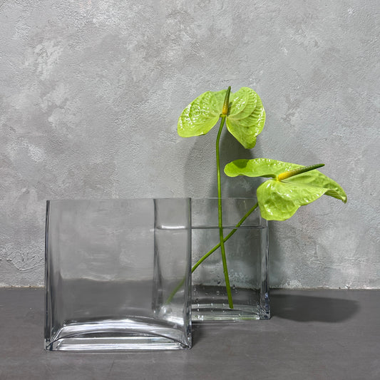 Two angular vases from Flowers on Norton St adorn a gray surface against a textured wall. The Rectangular Glass Vase is elegantly filled with two green anthurium flowers, showcasing their heart-shaped leaves. This minimalist arrangement emphasizes the simplicity of the design and the freshness of the greenery.